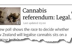 Cannabis referendum on knife edge