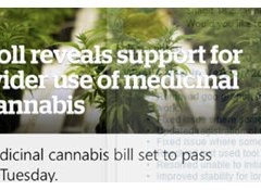 Poll says treat medicinal cannabis like other medicines