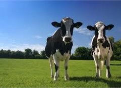 Growing support to reduce fertiliser use, cow numbers