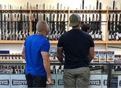 How many firearms in Kiwi households?