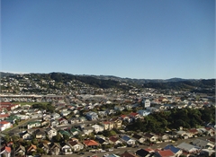 Do New Zealanders still want the quarter-acre dream?