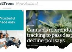 Cannabis referendum will pass, gap narrows