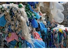 Strong polling support behind new plastic bag recycling scheme