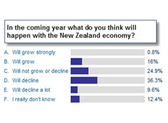 More believe economy will decline this year