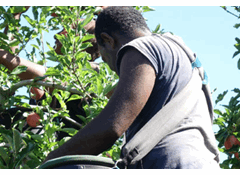 80% want action to end migrant exploitation