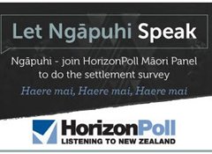 Majority support for Tuhoronuku to continue Treaty negotiations