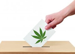 60% indicate they'll vote to legalise personal cannabis use