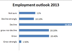 Average Kiwis economic expectations for 2013