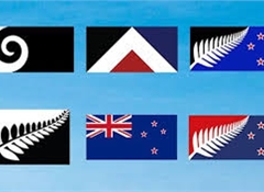 Close voting result likely between the colourful silver fern flags