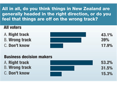 Business decision makers approve Government's performance